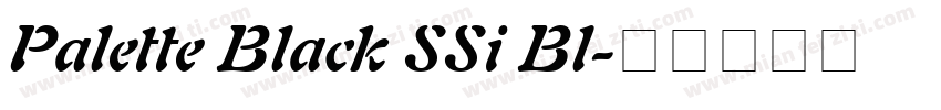 Palette Black SSi Bl字体转换